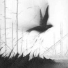 lost_poets